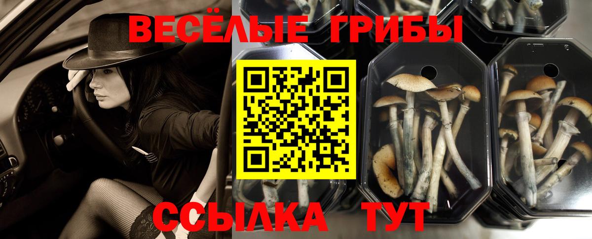 Истра  Галлюциногенные грибы Magic Shrooms  Псилоцибиновые грибы мицелий  Вход с VPN 